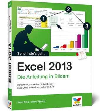 Bilke · Excel 2013 (Book)