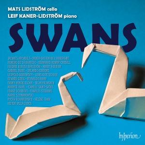 Cover for Lidstrom,mats / Lidstrom-kaner,leif · Swans (CD) (2025)