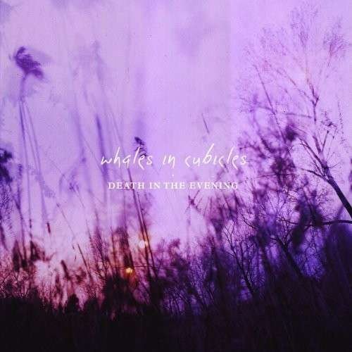Cover for Whales In Cubicles · Death In The Evening (LP) (2014)