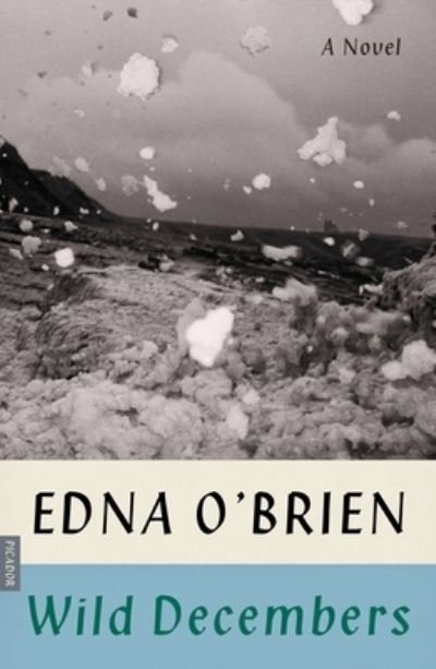 Cover for Edna O'Brien · Wild Decembers: A Novel (Paperback Bog) (2020)