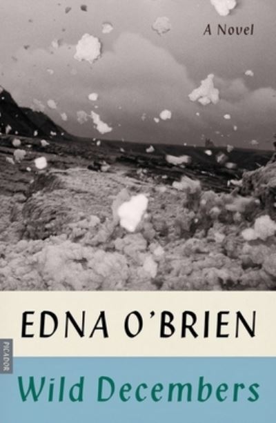 Cover for Edna O'Brien · Wild Decembers: A Novel (Paperback Book) (2020)