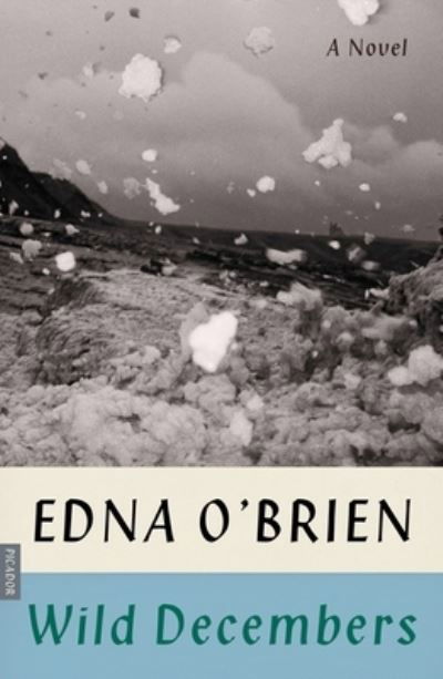 Cover for Edna O'Brien · Wild Decembers: A Novel (Pocketbok) (2020)