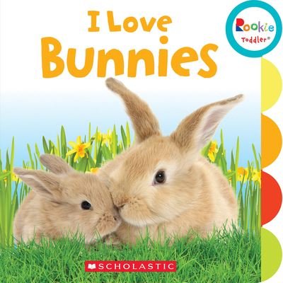 Cover for Amanda Miller · I Love Bunnies (Book) (2017)