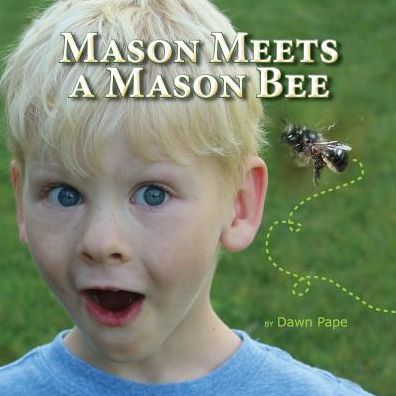 Cover for Dawn V Pape · Mason Meets a Mason Bee: An Educational Encounter with a Pollinator (Paperback Book) (2015)