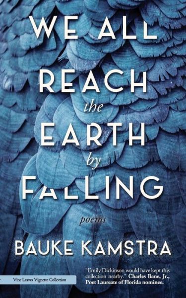 Cover for Bauke Kamstra · We All Reach the Earth by Falling (Paperback Book) (2014)