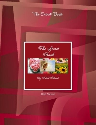 Cover for Bilal Ahmed · The Secret Book (Pocketbok) (2013)