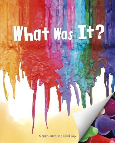 What Was It? - What Was It? - McCurry, Kristen (Managing Editor) - Books - Capstone Global Library Ltd - 9781398201750 - June 24, 2021