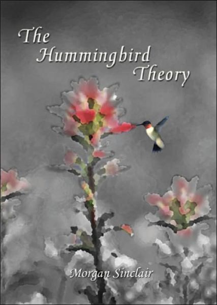 Cover for Morgan Sinclair · The Hummingbird Theory (Hardcover Book) (2005)