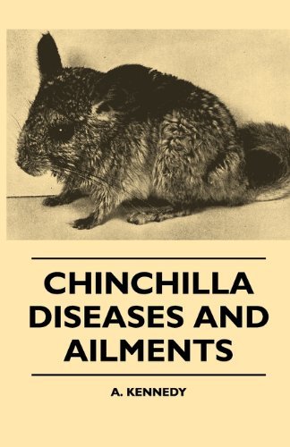 Cover for A. Kennedy · Chinchilla Diseases and Ailments (Paperback Book) (2010)