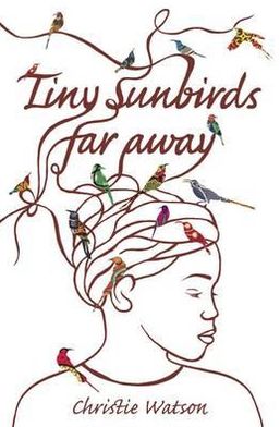 Tiny Sunbirds Far Away: Winner of the Costa First Novel Award, from the author of The Language of Kindness - Christie Watson - Books - Quercus Publishing - 9781849163750 - December 1, 2011