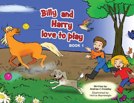 Billy and Harry Love to Play - Andrew Crossley - Książki - Busybird Publishing - 9781925830750 - 31 grudnia 2018