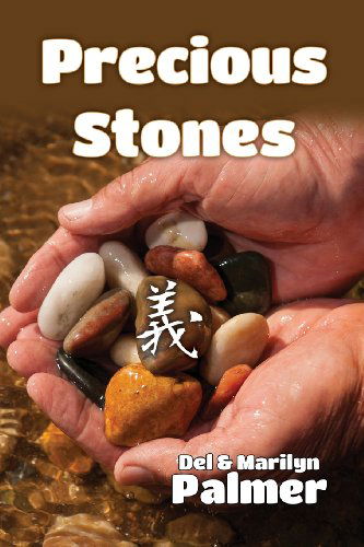 Cover for Marilyn Palmer · Precious Stones (Paperback Book) (2013)