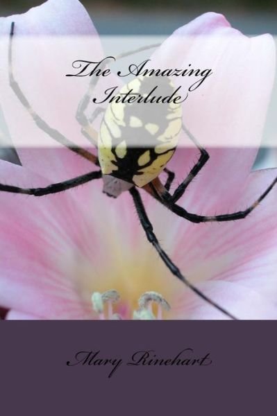 Cover for Mary Roberts Rinehart · The Amazing Interlude (Paperback Book) (2018)
