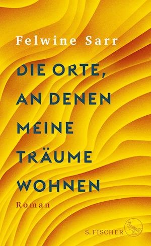 Cover for Felwine Sarr · Die Orte, an denen meine Träume wohnen (Book) (2023)