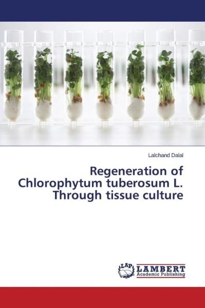 Cover for Lalchand Dalal · Regeneration of Chlorophytum Tuberosum L. Through Tissue Culture (Paperback Book) (2014)