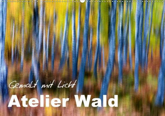 Cover for Böhme · Atelier Wald - gemalt mit Licht ( (Book)