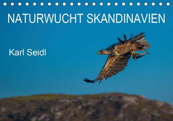 Cover for Seidl · Naturwucht Skandinavien (Tischkal (Book)