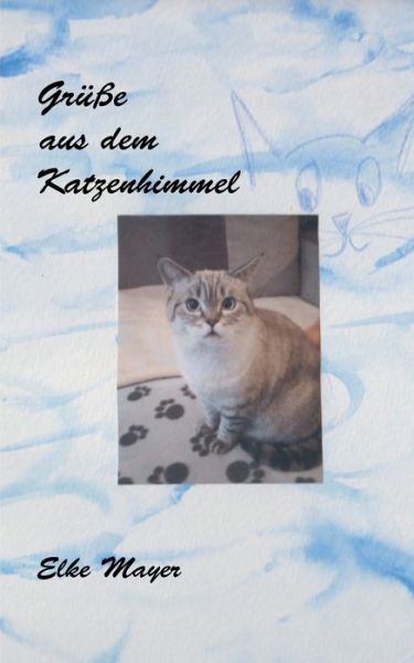 Cover for Elke Mayer · Grusse aus dem Katzenhimmel (Paperback Book) (2020)