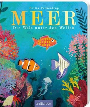 Cover for Britta Teckentrup · Meer (Board book) (2022)