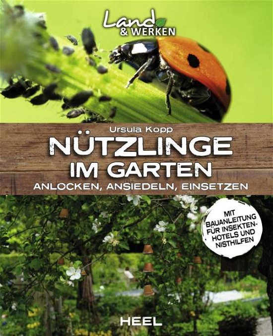 Cover for Kopp · Nützlinge im Garten - anlocken, an (Buch)