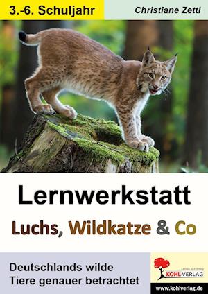 Cover for Christiane Zettl · Lernwerkstatt Luchs, Wildkatze &amp; Co (Paperback Book) (2021)