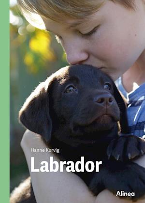 Cover for Hanne Korvig · Fagklub: Labrador, Grøn Fagklub (Bound Book) [1e uitgave] (2023)