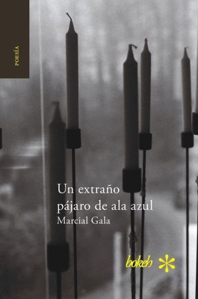 Cover for Marcial Gala · Un extrano pajaro de ala azul (Paperback Bog) (2017)
