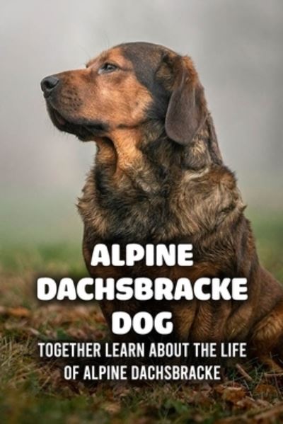 Cover for Caris Michelle · Alpine Dachsbracke Dog: Together Learn About The Life of Alpine Dachsbracke: How Well Do You Know About Alpine Dachsbracke Dog? (Paperback Book) (2021)