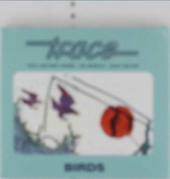 Birds - Trace - Música - ABP8 (IMPORT) - 2090503910751 - 1 de febrero de 2022