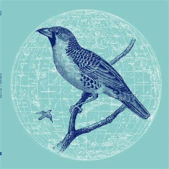 Peace Bird - Genius Of Time - Musiikki - RUNNING BACK - 4251648410751 - perjantai 15. maaliskuuta 2019