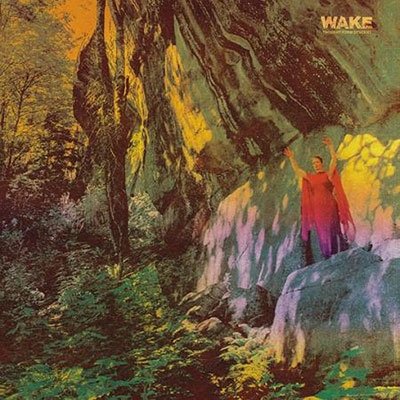 Thought Form Descent - Wake - Musik - DISC UNION - 4988044077751 - 20. juli 2022