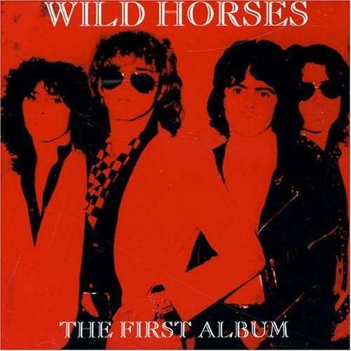 Cover for Wild Horses · First Album, the (CD) (1999)
