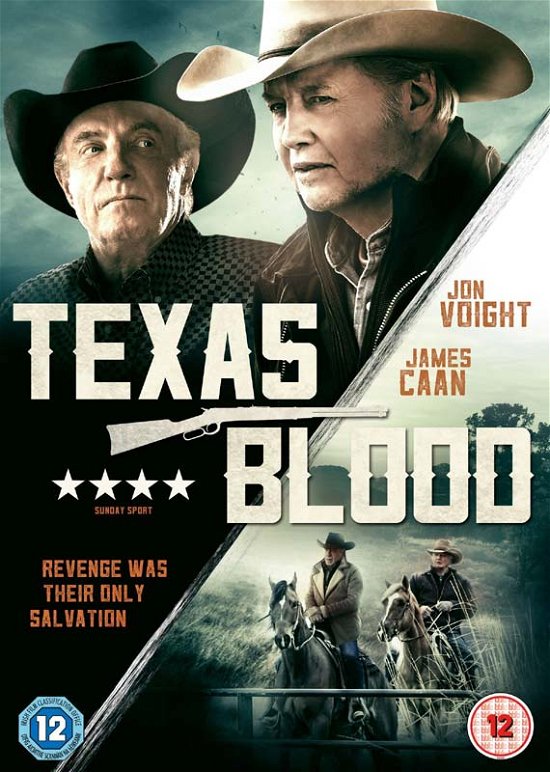 Texas Blood DVD - Movie - Film - Precision Pictures - 5060262855751 - August 14, 2017