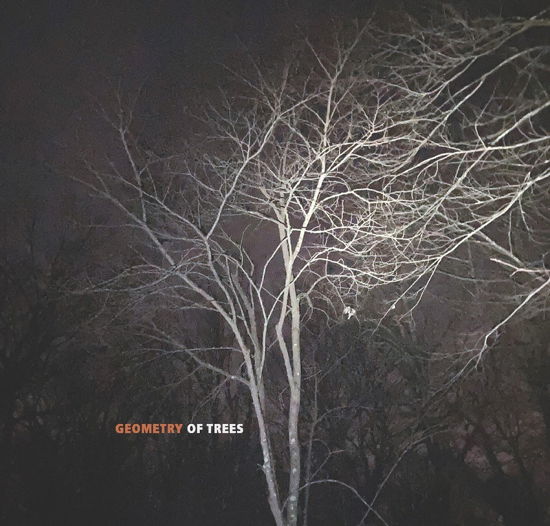 Cover for Tomeka Reid · Geometry Of Trees (CD) (2022)