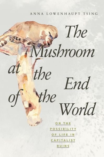 Cover for Anna Lowenhaupt Tsing · The Mushroom at the End of the World: on the Possibility of Life in Capitalist Ruins (Hardcover bog) (2015)