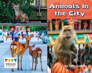 Cover for Kelly Gaffney · Animals In the City (N/A) (2020)