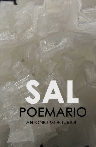 Cover for Antonio Monturiol · Sal (Paperback Book) (2016)