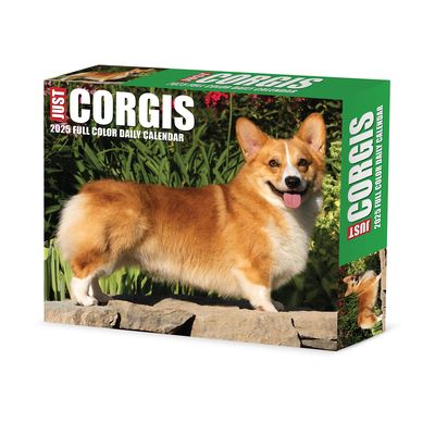 Willow Creek Press · Corgis 2025 6.2 X 5.4 Box Calendar (Calendar) (2024)