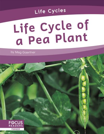 Life Cycles: Life Cycle of a Pea Plant - Meg Gaertner - Kirjat - North Star Editions - 9781644938751 - sunnuntai 1. elokuuta 2021