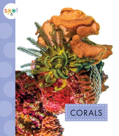 Corals - Mari C Schuh - Books - Amicus Ink - 9781681526751 - March 2, 2021