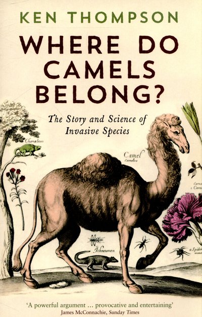 Cover for Ken Thompson · Where Do Camels Belong?: The story and science of invasive species (Paperback Book) [Main edition] (2015)