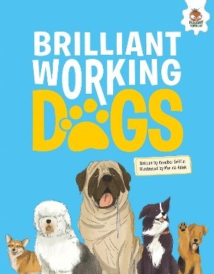 Cover for Annabel Griffin · DOGS: Brilliant Working Dogs - DOGS: Heroic Companion Dogs (Paperback Book) (2024)