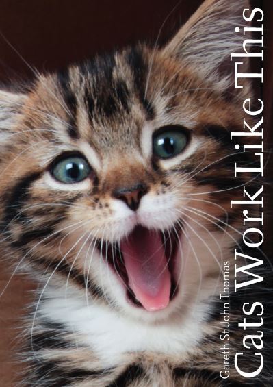 Cover for David St John Thomas · Cats Work Like This (Hardcover Book) (2022)