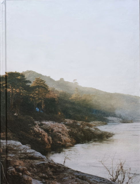 Delta - Francois Deladerriere - Books - Poursuite editions - 9782918960751 - August 1, 2014