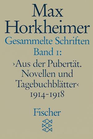 Cover for Max Horkheimer · Gesammelte Schriften I (Paperback Book) (1988)