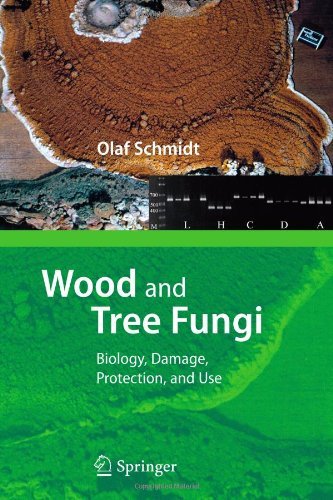 Cover for Olaf Schmidt · Wood and Tree Fungi: Biology, Damage, Protection, and Use (Paperback Book) [Softcover reprint of hardcover 1st ed. 2006 edition] (2010)
