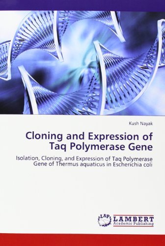 Cover for Kush Nayak · Cloning and Expression of Taq Polymerase Gene: Isolation, Cloning, and Expression of Taq Polymerase Gene of Thermus Aquaticus in Escherichia Coli (Paperback Book) (2012)