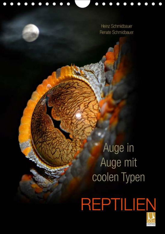 Auge in Auge mit coolen Typ - Schmidbauer - Książki -  - 9783670791751 - 