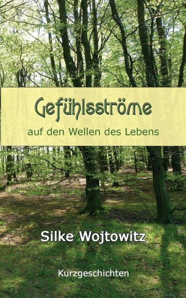 Cover for Silke Wojtowitz · Gefuhlsstrome (Paperback Book) [German edition] (2013)