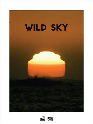 Cover for Eva Diaz · Wild Sky (Paperback Book) (2011)